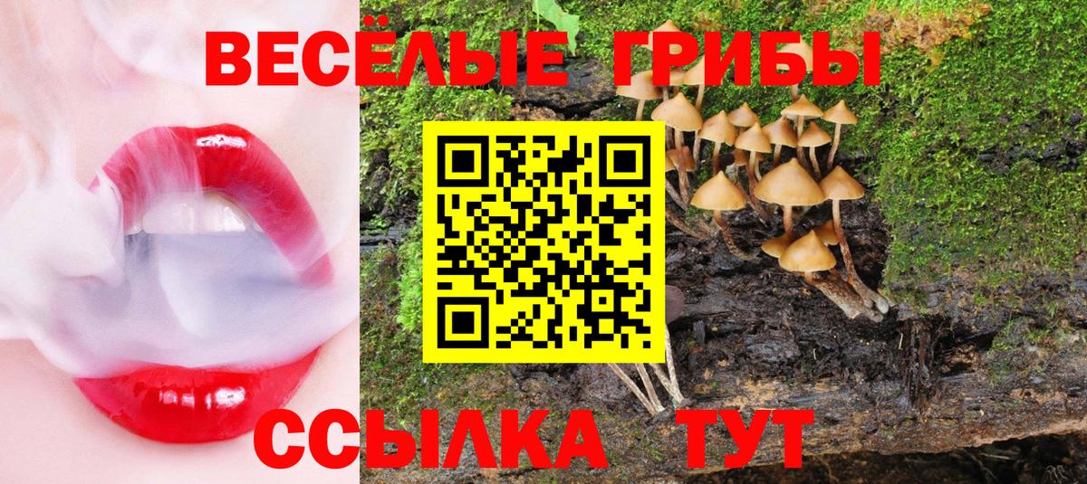 Псилоцибиновые грибы мицелий Горячий Ключ