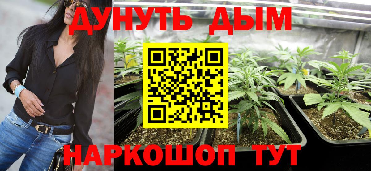 Конопля OG Kush Горячий Ключ